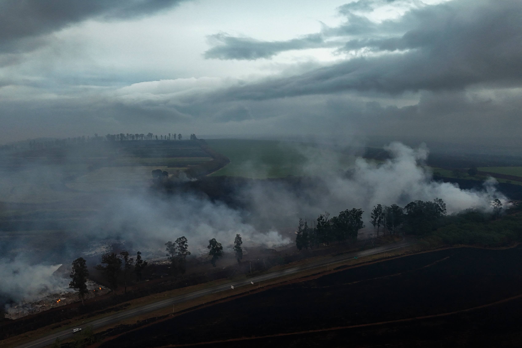 Se han registrado más de 2.300 incendios en Brasil Foto: CARLOS FABAL/AFP