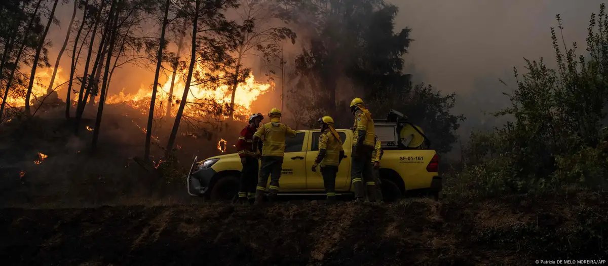 Las llamas han avanzado velozmente. Foto: Patricia DE MELO MOREIRA/AFP