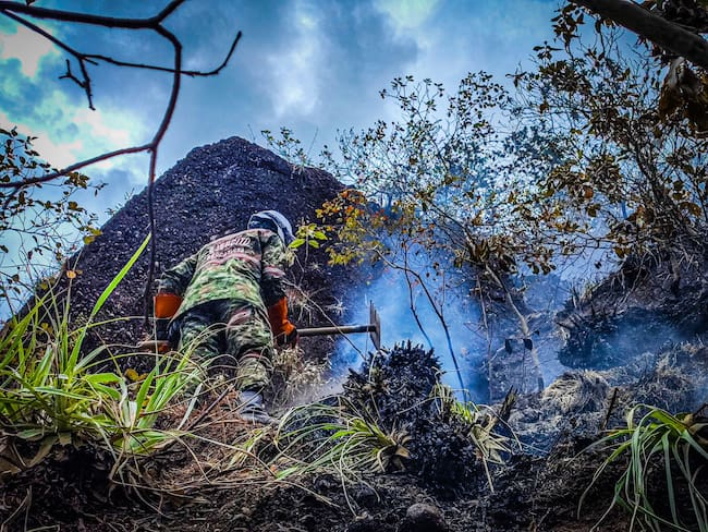 Trabajos para sofocar los incendios Foto: Ministerio de Defensa y Fuerza Aérea