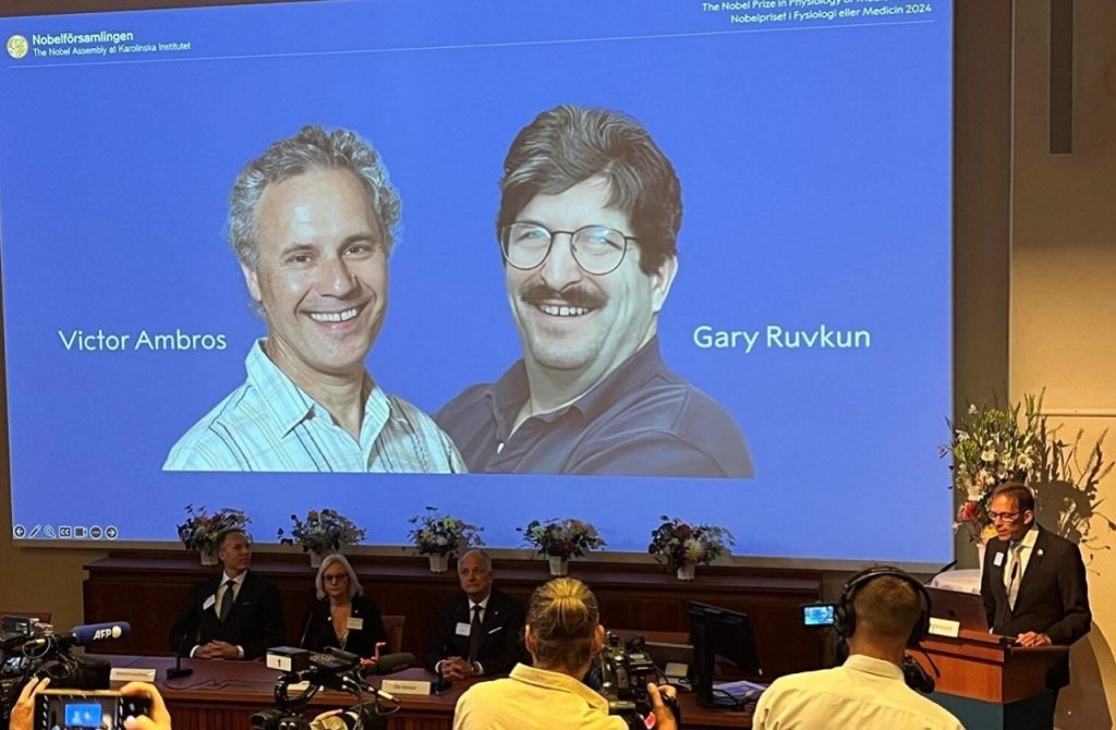 Premio Nobel de Medicina 2024 para Victor Ambros y Gary Ruvkun por el descubrimiento del micro-ARN