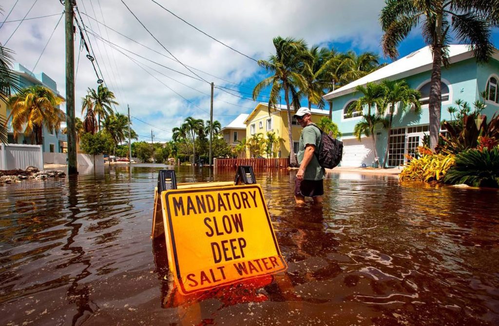 El peligro que acecha la Florida tras paso de huracanes
