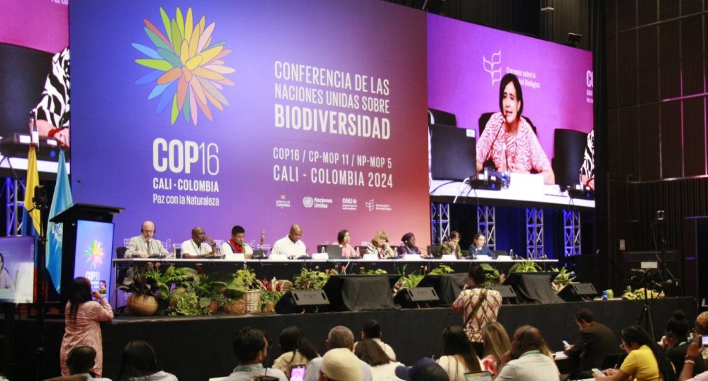 ¿Qué balance dejó para Colombia la primera semana de la Cop16?