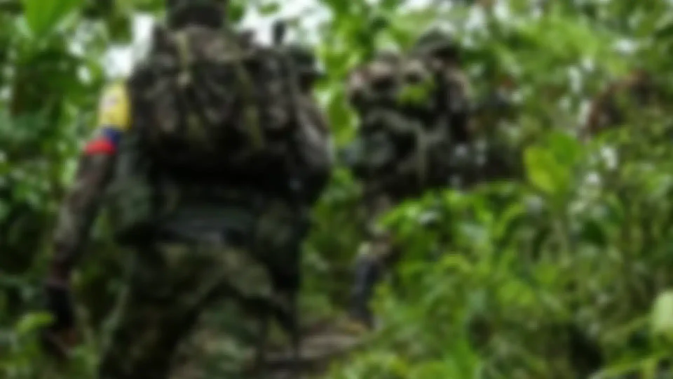 No es la primera vez que exmiembros de las FARC colaboran con la JEP Foto: AFP