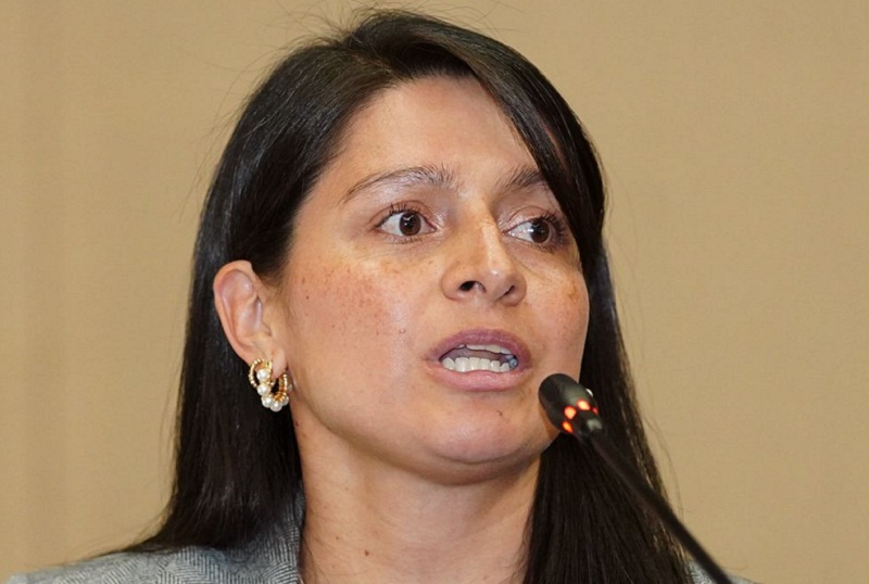 Natalia Gómez, directora de Gestión del Riesgo de Cundinamarca Foto: Gobernación de Cundinamarca