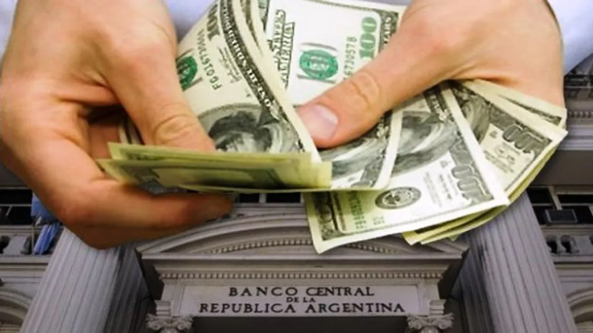 El contexto actual muestra que el dólar lleva ocho semanas consecutivas al alza Foto: google