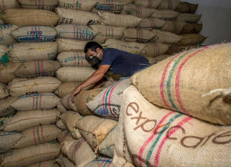 Hay dificultades para la exportación de café, según Asoexport. Foto: Juan Antonio Sánchez - el colobiano