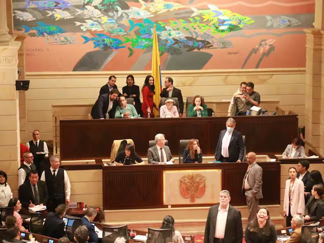 Cámara de Representantes. Foto: Suministrada