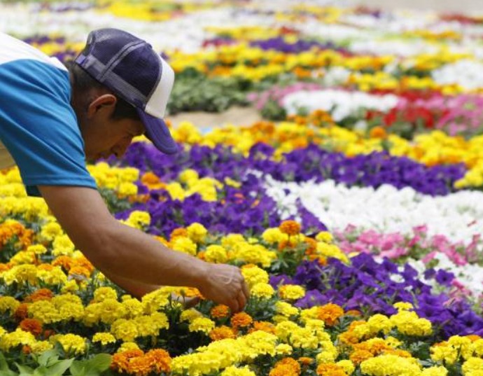 Los riesgos económicos que enfrentó Colombia durante las horas de crisis con EE.UU.