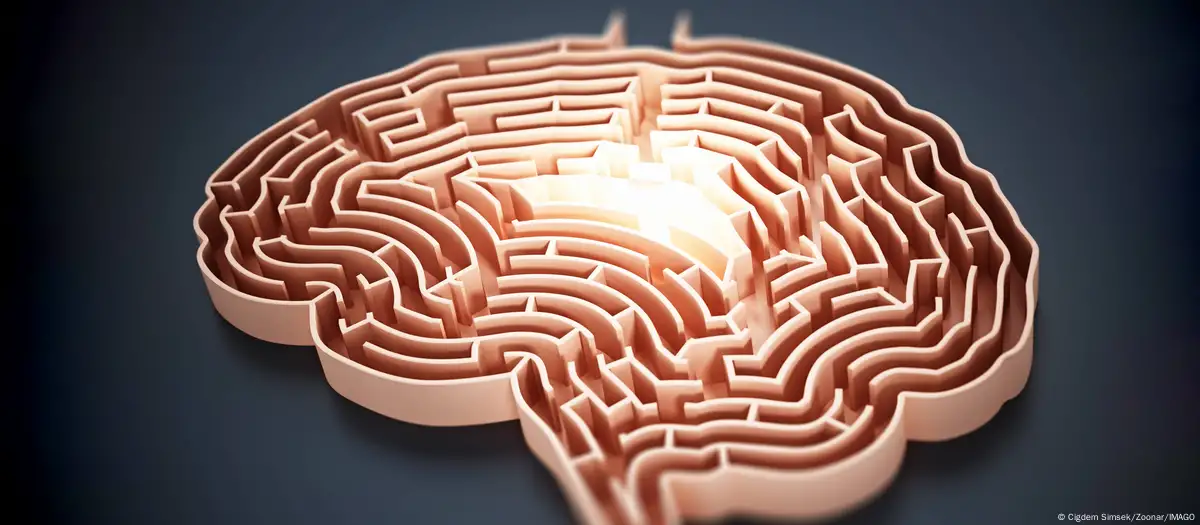 857 participantes en 36 estudios diferentes fueron parte de la investigación Foto: Cigdem Simsek/Zoonar/IMAGO