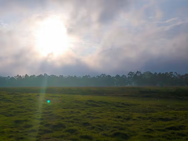 Sabana de Bogotá. Foto: Getty Images / Luis Daniel Ramirez Ortiz