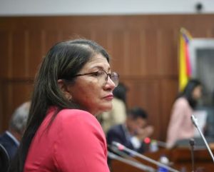 Corte Suprema investiga a senadora Sandra Ramírez por presuntas amenazas a vocera de Rosa Blanca