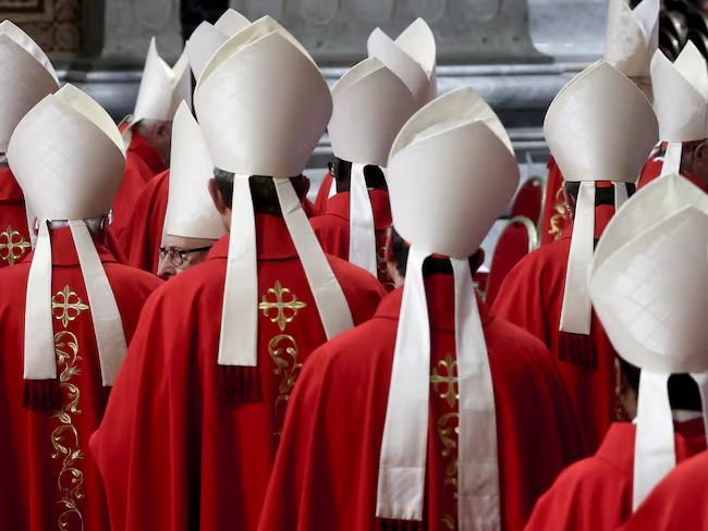 Cardenales Foto: GettyImages / Alessandra Benedetti - Corbis