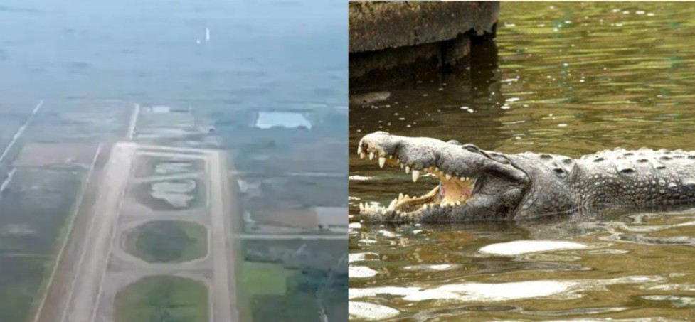 Así será “Alligator Alcatraz”, el nuevo centro de detención para migrantes irregulares en EE.UU.