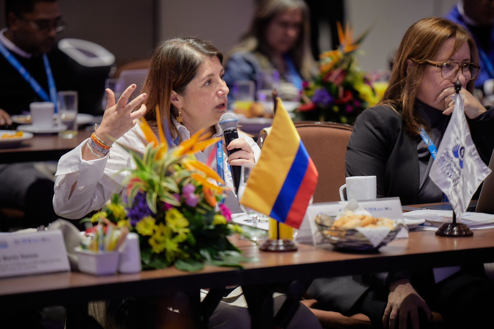 Defensora Iris Marín pide poner fin a expulsiones masivas de migrantes en la Cumbre Iberoamericana