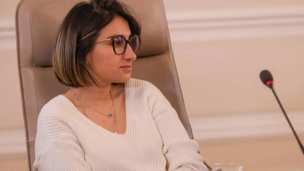 Laura Sarabia en consejo de ministros Foto: Presidencia