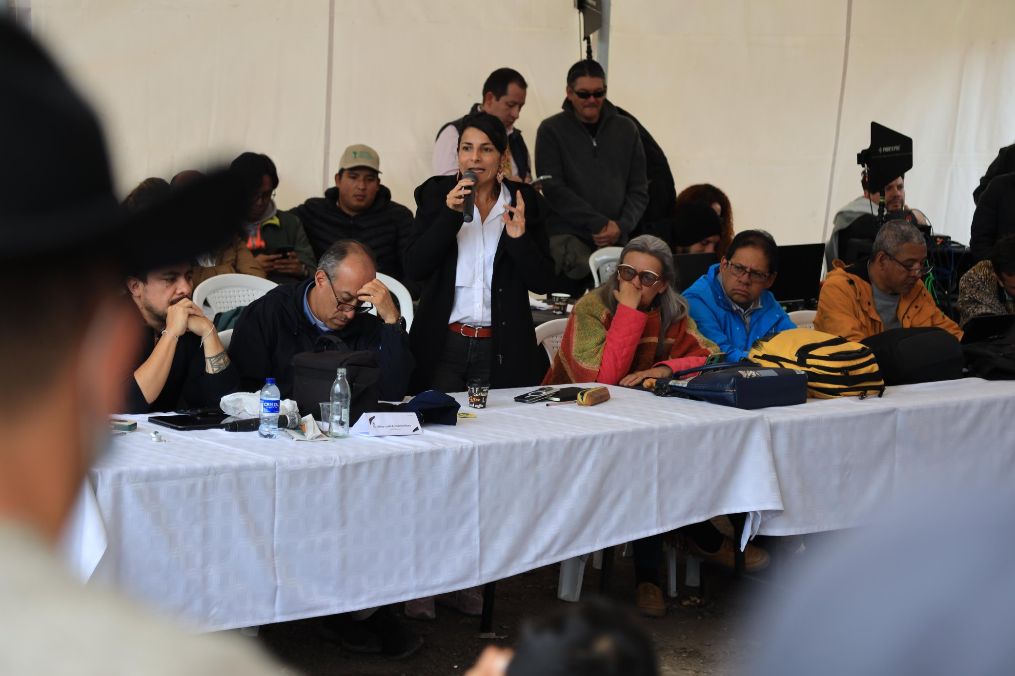 Ministra encargada de Ambiente, Irene Vélez-Torres Foto: x.com @MinAmbienteCo