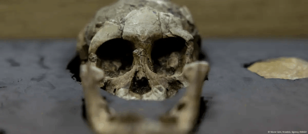 Los restos encontrados en Etiopía serían de un tipo desconocido de Australopithecus. Foto: Murat Gök/Anadolu Agency/IMAGO