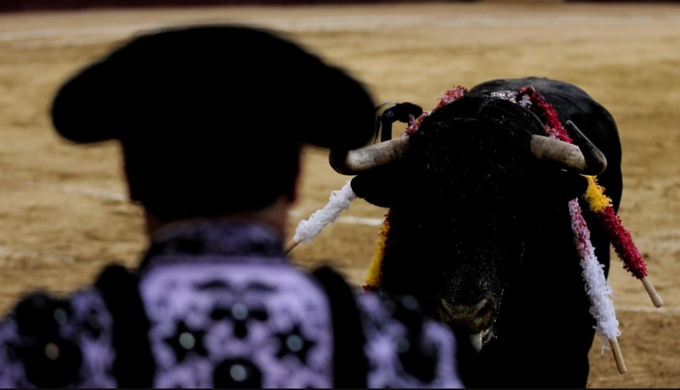 Corte amplía prohibición de corridas de toros, corralejas y peleas de gallos en Colombia