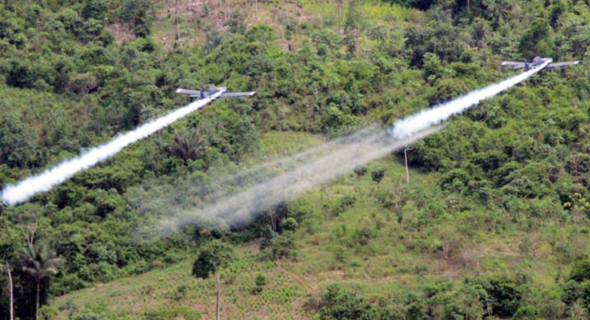 Petro reconsidera la idea de la aspersión aérea con glifosato para la erradicación de cultivos ilícitos