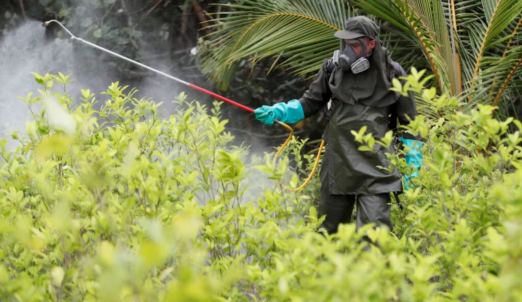 Colombia aspira a mantener la certificación de EE.UU. pese a estar corto en la meta de erradicación