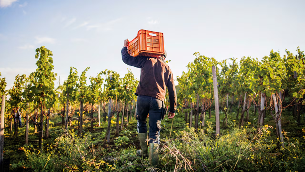 La ley ha sido enviada al presidente Gustavo Petro para su sanción definitiva. Foto: Getty Images vía semana