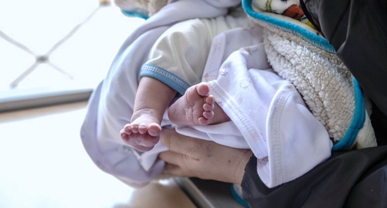 Durante 2024 y lo transcurrido de 2025, los nacimientos mensuales no han superado los 40.000 nacidos vivos Foto: google