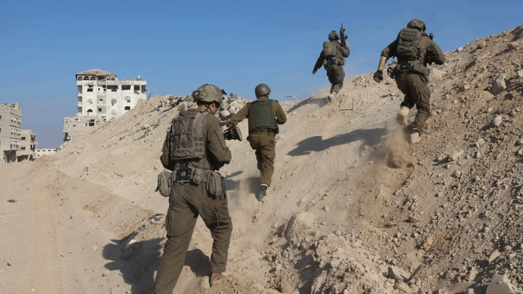 FDI en el Mando Sur están desplegadas en la zona Foto: la sexta