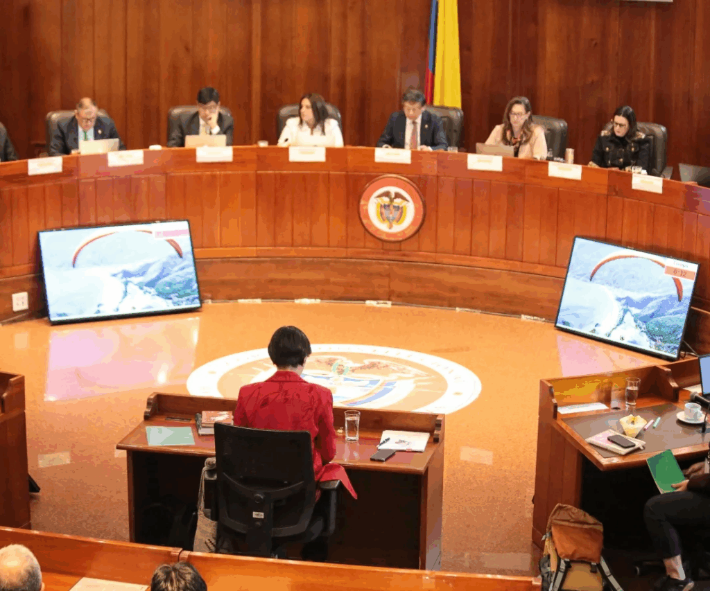 Audiencia en la Corte Constitucional Foto: asuntos legales