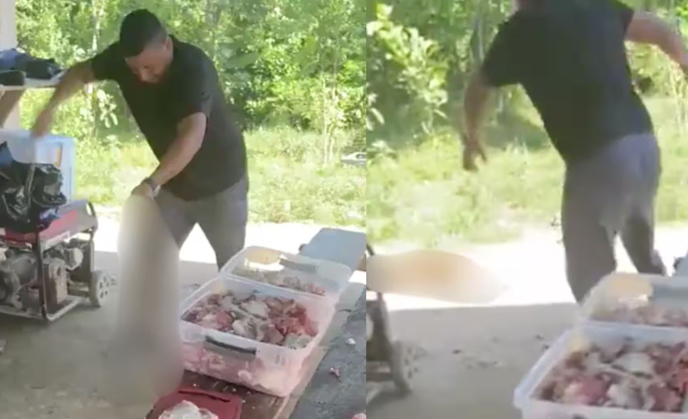 Sujeto señalado de maltratar a un perro en Antioquia se entregó a las autoridades