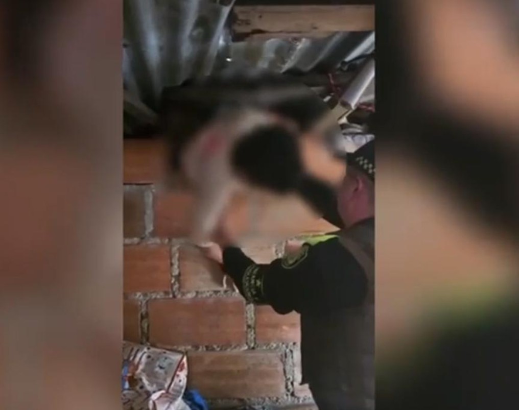 Inhumano: dos niños fueron encadenados y abandonados en un vivienda en Medellín