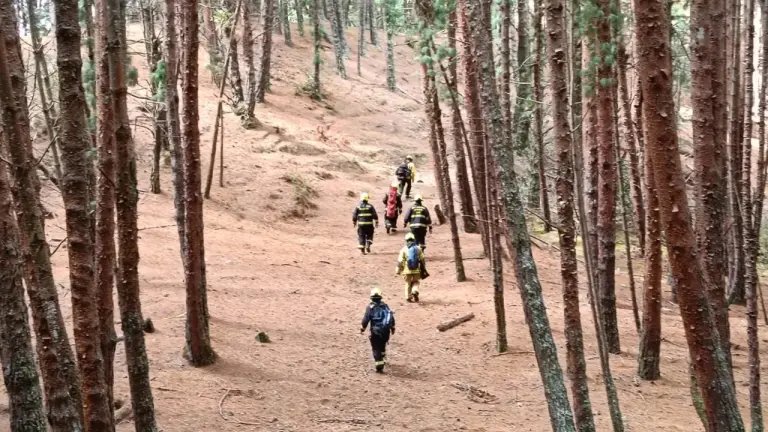 Búsqueda en Cerro Guadalupe Foto: Cuerpo Oficial Bomberos de Bogotá.