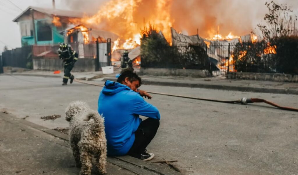Capturan en Chile a presunto responsable de los mortíferos incendios que han dejado 20 víctimas y miles de damnificados