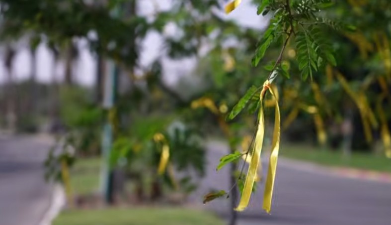 Israel identificó el cuerpo de Ran Gvili, el último rehén de Gaza