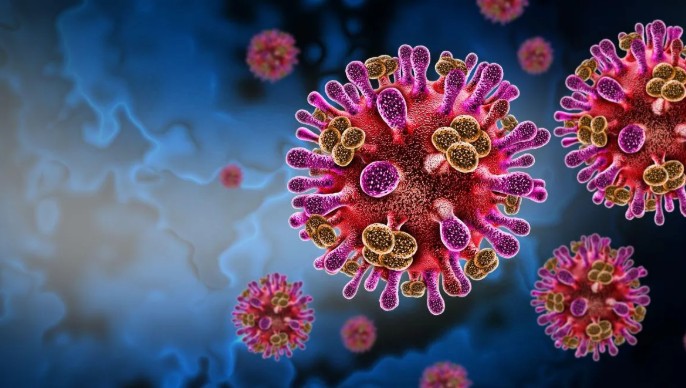 Qué se sabe del virus Nipah que tiene en alerta a India: síntomas y formas de contagio