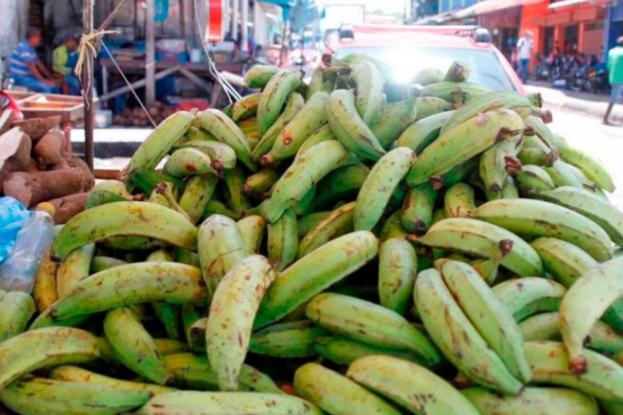La yuca, el plátano y el café están 80% más caros ¿Por qué?