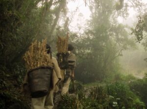 Película hecha en Colombia será estrenada próximamente en Netflix ¿De qué trata?