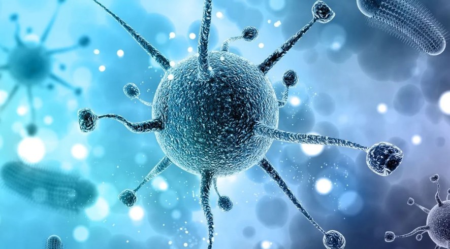 Científicos transforman bacterias en "cazadores de tumores": un avance prometedor contra el cáncer