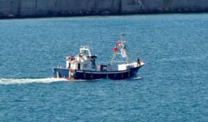 Tres colombianos entre los 175 activistas detenidos por Israel cuando llevaban ayuda a Gaza