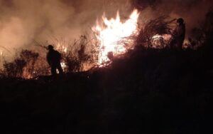 Defensoría pide intervención urgente en Nariño para frenar incendio forestal