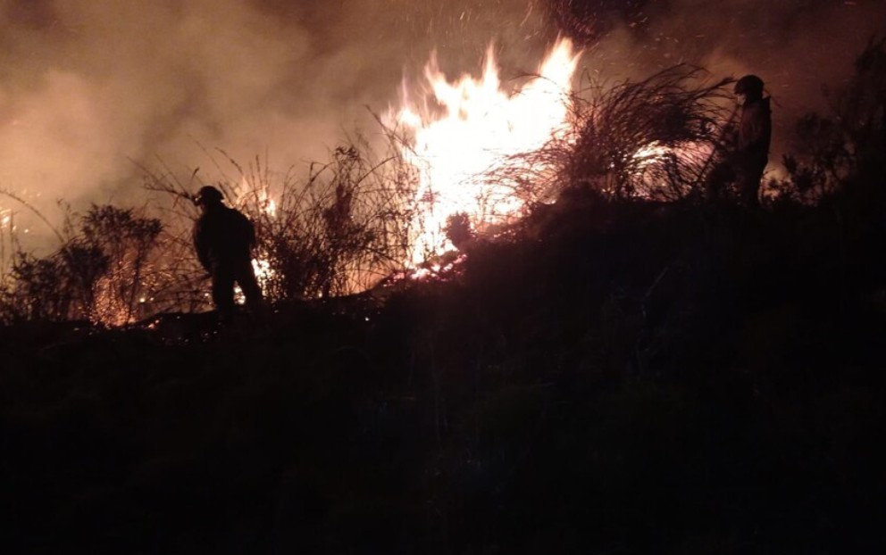Defensoría pide intervención urgente en Nariño para frenar incendio forestal