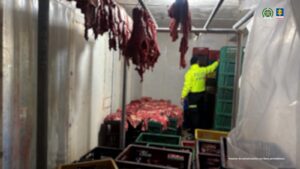 Carne de caballo no apta para el consumo humano se vendía como carne de res en Bucaramanga