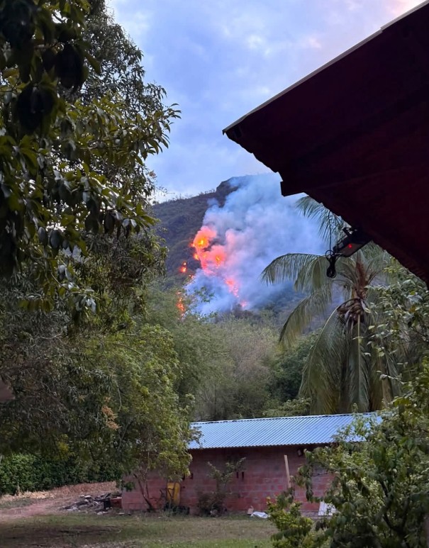 Presidente Abelardo de la Espriella confirma control de incendio que amenazaba gasoducto en Tolima