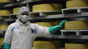 Solidaridad tras el terremoto: Alpina dona más de 50 toneladas de alimentos para damnificados