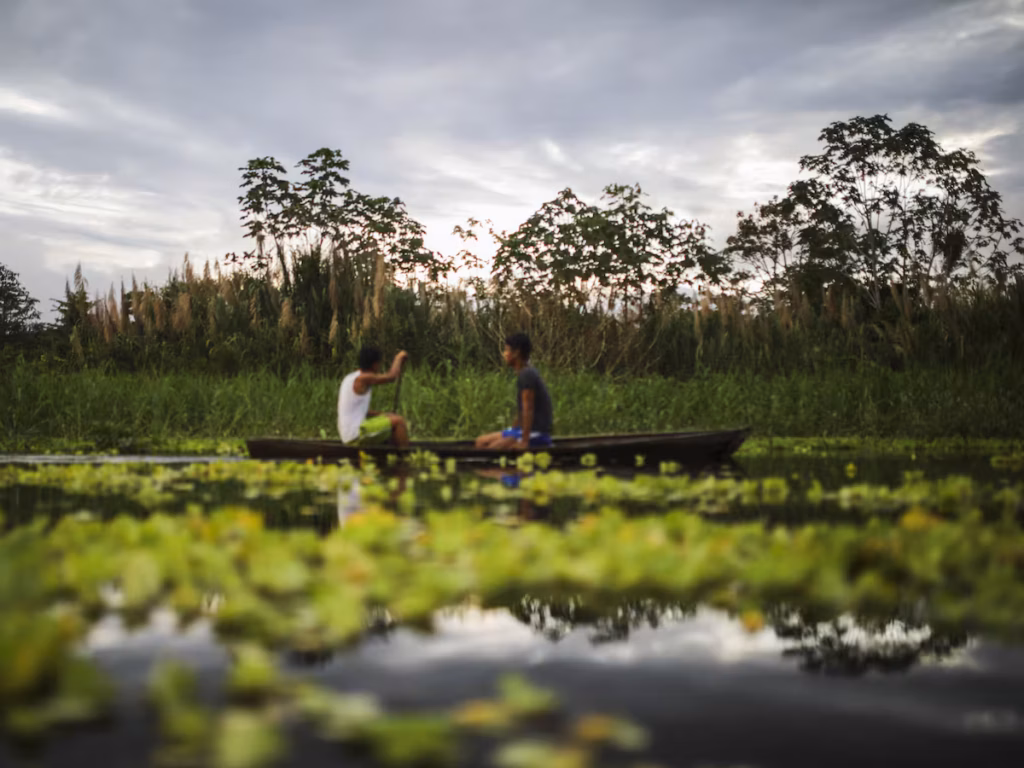 MinTIC frena millonario proyecto de fibra óptica en la Amazonía: el costo se disparó un 67%