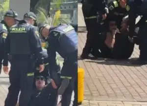 Policía detuvo a un ciudadano francés por intentar romper la seguridad de la posesión