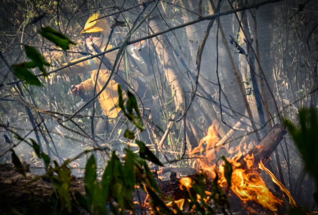 Colombia mantiene la alerta por 18 incendios forestales activos en 10 departamentos
