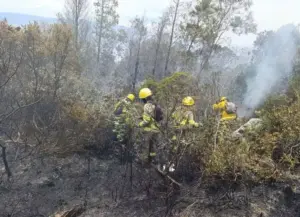 Incendio forestal en Villa de Leyva alcanza 90 % de control y deja 1 480 ha afectadas