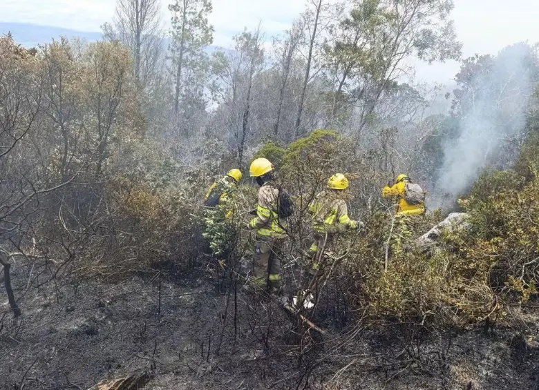 Incendio forestal en Villa de Leyva alcanza 90 % de control y deja 1 480 ha afectadas