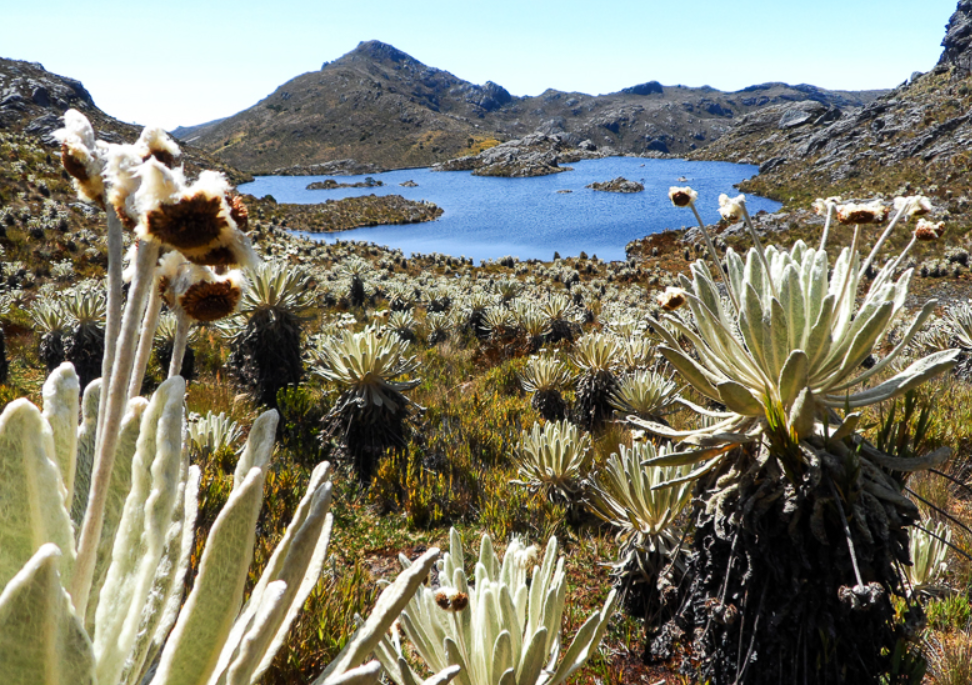 Santurbán vuelve al centro del debate por decisiones del Gobierno sobre reservas ambientales