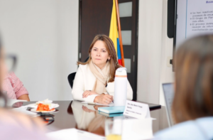 Plan de choque en salud registra avance del 51% según ministra Vesga